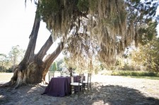 rustic chic purple wedding inspiration 19